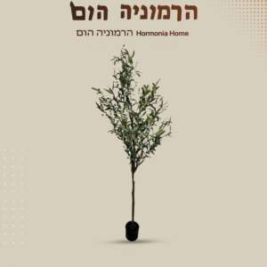 עץ