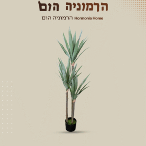 עץ