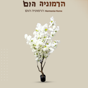 עץ