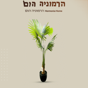 עץ